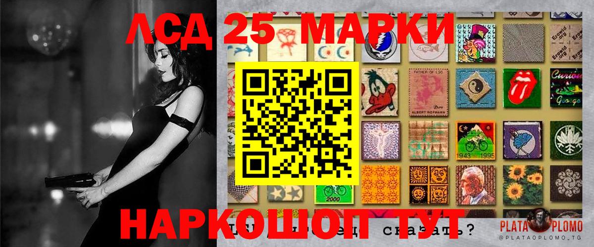 купить наркотики цена  Наркотические марки 1,5мг  Вход с VPN  Малгобек 