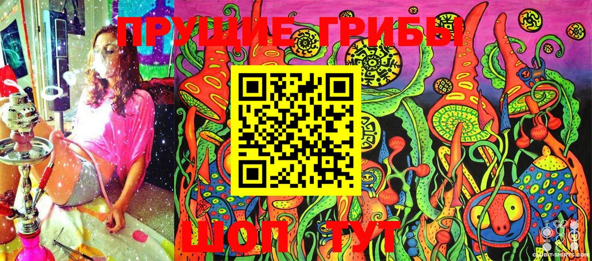 Псилоцибиновые грибы Psilocybe Малгобек